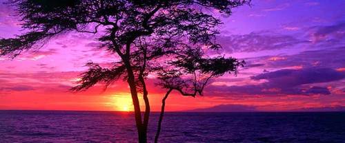 The happiest feeling ever is knowing that he could be with any other girl in the entire world, but he chooses to be with you. http://t.co/B6PUtME7
