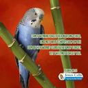 joel  john  mainer - @joeljohnmainer - Twitter