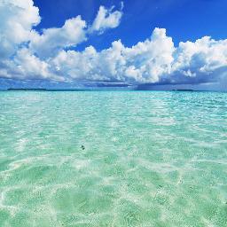 IVANA2118's profile picture. 