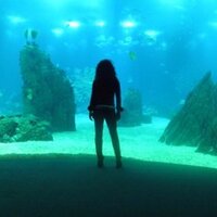 Ester Bueno Palacios (@esterdecastro) 's Twitter Profile