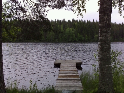 KnNiketti's profile picture. elämästä pitää nauttia...