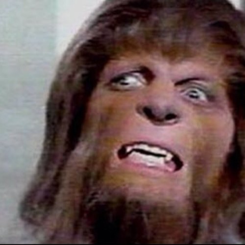 TheRealJHop's profile picture. A Parody and your 2008, 2014, 2021, 2022 and 2023 Fantasy Football champion #BillsMafia