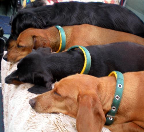 rricetaylor's profile picture. Curious about Twitter.