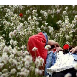 RagaLau's profile picture. No tengo perro, pero sé tocar la flauta desde hace ocho años.