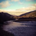 Jane Boylan - @snappyscuffil - Twitter