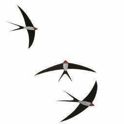 swallowsummer's profile picture. Poet - musician