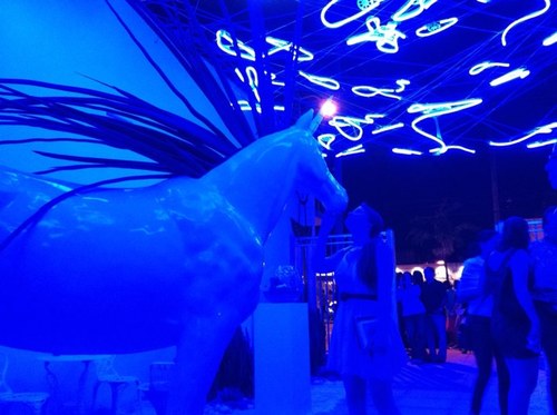 skynerd11's profile picture. just ask :P