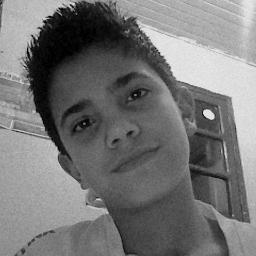 me segue q eu te sigo