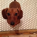 Robin Evans - @robinevans58 - Twitter