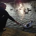 Chris Tisdale - @ctisdale24 - Twitter