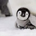 Sara bader - @bader_baders - Twitter