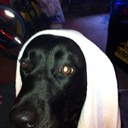 Richard Leamon - @rleamon9 - Twitter