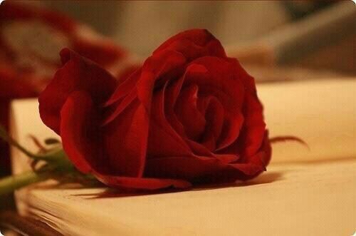 wlee52's profile picture. 