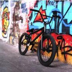 bradiveson16's profile picture. bmx
