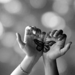 sarakelly__'s profile picture. 