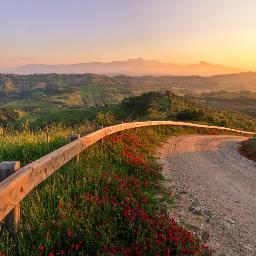 mobile_kit's profile picture. 