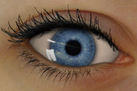 DanielleKlasens's profile picture. 