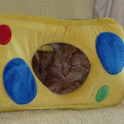 deadnicksmudge's profile picture. 