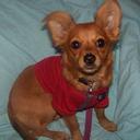 james howells - @jimhowells - Twitter