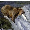 Tim Young - @timyoungtim - Twitter