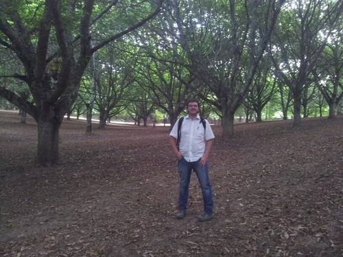 biodiversidad castaños ríos montes bosques abejas productos y alimentos del bosque, forestal de nacimiento y por convencimiento