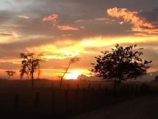 YanioRodriguez's profile picture. Llanero de pata al suelo y ademas de los buenos, por mas que cargue cotizas se le ve el barro en los dedos