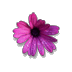 bridgette odonnell - @bridgodonnell - Twitter