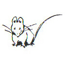 nonnythemouse's profile picture. being dragged kicking and screaming into the 21st century...