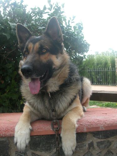 mikimitjonet's profile picture. 