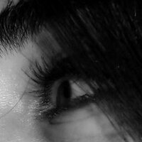 Kuzey Kutbu Pengueni (@zeliha_yilmaz_) Twitter profile photo