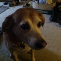 matt wulker (@mattmwulker) 's Twitter Profile