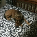 Michaela bass - @michaela_bass - Twitter