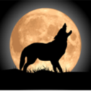 David Cuddy - @CuddyDoubleD - Twitter