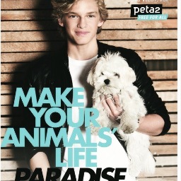 CODY IS PERFECT. ALL OTHER ARGUMENTS ARE IRRELEVANT.