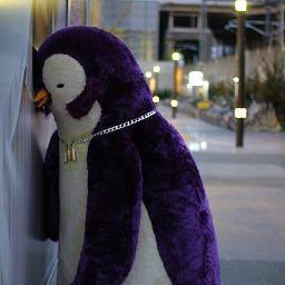 witty_penguin's profile picture. Christian, mom of 3, conservative, married to @left_illusions. Trying to save souls, change minds & bring hope through truth...and a little venting.