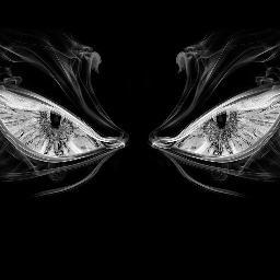 SrCalvof's profile picture. Un cruce de caminos