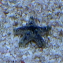 Georgina Perry - @georgiepez - Twitter