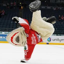 Offizieller Account des besten Maskottchen der Welt! #Sharky #KEC