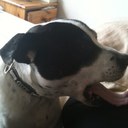 Adam Luffman - @LuffmanAdam - Twitter