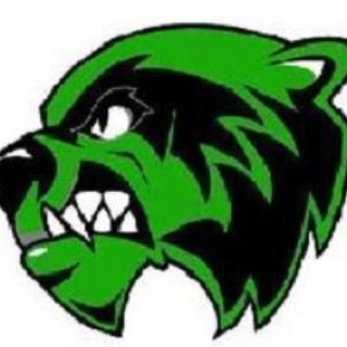 spiritsquad3's profile picture. We are the future generation of Student Council, we're here to inform you about all the important events happening at STP!