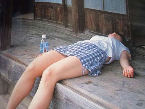 Kasagi_Shinobu's profile picture. カルト教団「ネオアコ寺院」を舞台にした第二部ではいきなり小栗虫太郎ばりの怪奇現象が炸裂するよ(・＆・)
『ドラム猫くん、すると鐘鳴器室の風精が、あの倍音演奏とどんな関係があるのだね。そのλ（ラムダ）はθ（シータ）は？』
『わかんねーッス！とにかく自転車乗って、はしーーーーるぅ！(；ﾟ∀ﾟ)=3』