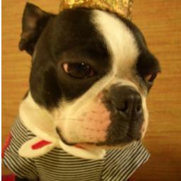 Dio_Blando's profile picture. システム構築、WEB分析、マーケティングなどに携わっています。行動履歴や行為を記録するWEBのサービスを開発中です。