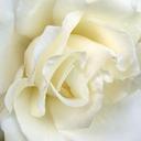 sonia preciado - @soniapreciado2 - Twitter