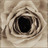 vawofarip's profile image