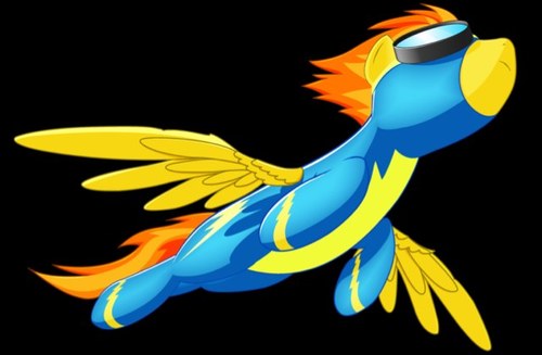 Captain of the wonderbolts.... is married to @R34skies