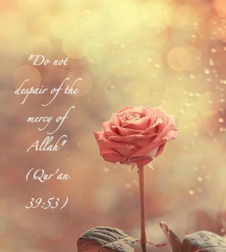 Islam=Unity. Follow :)