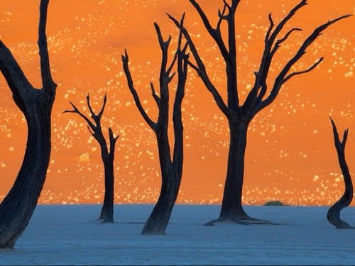 norage3's profile picture. 종북척결 간첩잡자