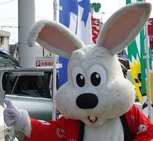 rabbitmiyazaki's profile picture. 車が大好きすぎて、ラビット宮崎北店に住み着いてしまったうさぎのラビッ太君です。たまに、１０号線沿いに出没します！！見かけた方は手を振ってね(*^^)v
相互フォロー１００％目指してます。が、お断りする場合もあります。（１８禁はちょっと・・・）どんどんフォローして下さい！！！