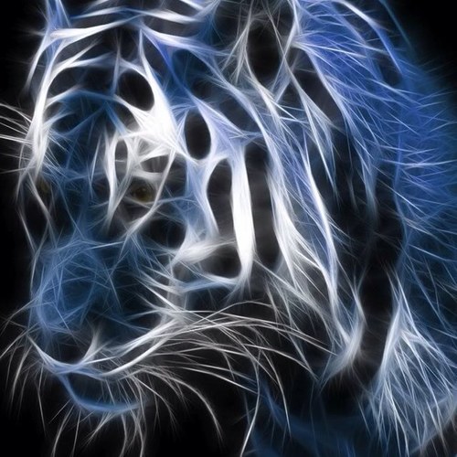 99Natboy's profile picture. 