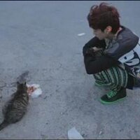 K (@mellow_song) 's Twitter Profile